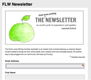 email newsletter example